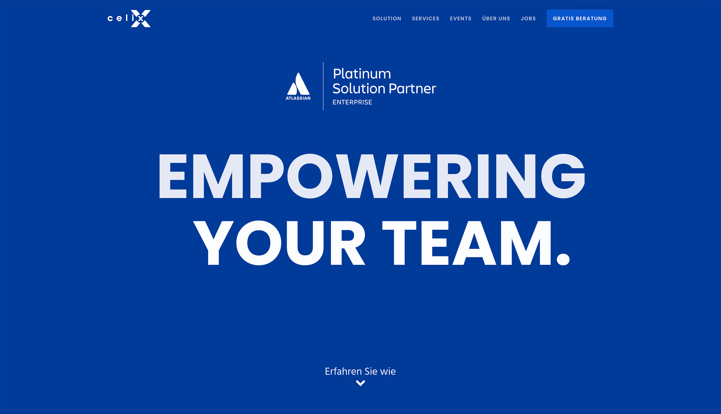 Celix Website from Anwert.